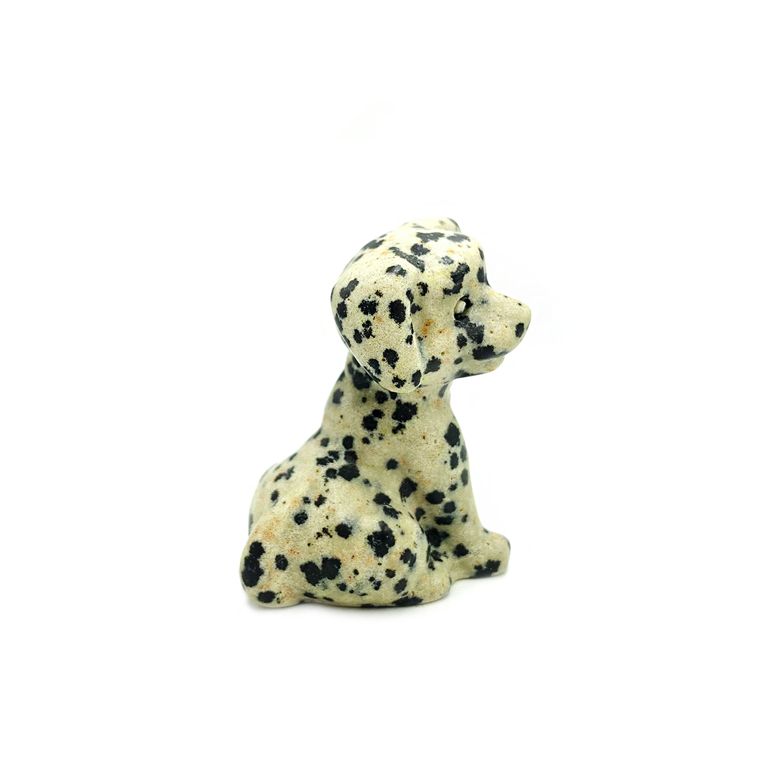 Σκυλάκι Δαλματίας - Δαλματικός Ίασπις - Ο λίθος της αισιοδοξίας - Image 2